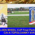 Golden Wheel CUP FINAL PLACE Pairs Driving 2009, CAI-A Topolcianky SVK